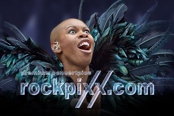 rockpixx.com, Introbild 2011-2012