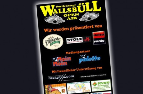 Teaser Wallsbüll Open Air 2013