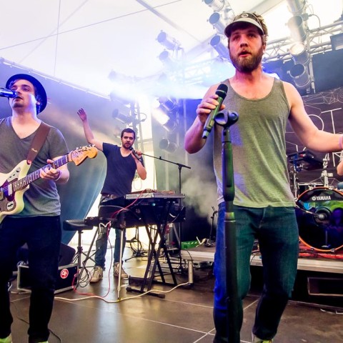 Otto Normal, 29.05.2014, Schafflund, Wallsbüll OpenAir