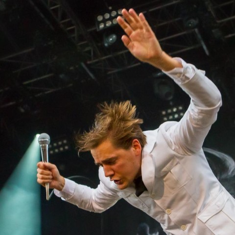 The Hives, 20.07.2014, Deichbrand Open Air, Seeflughafen, Nordholz