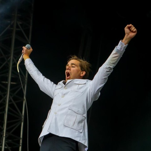 The Hives, 20.07.2014, Deichbrand Open Air, Seeflughafen, Nordholz