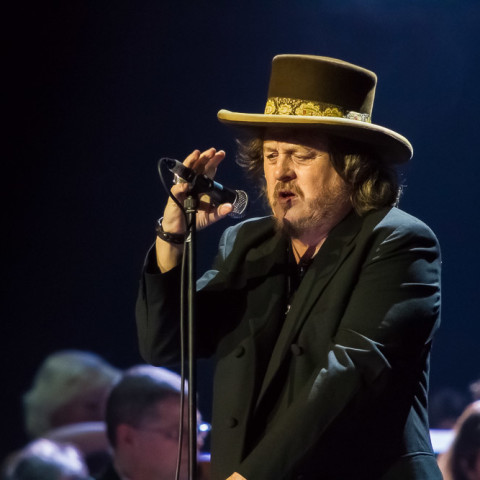 Zucchero, 19.12.2014, NOTP, Hamburg