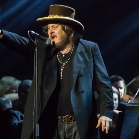 Zucchero, 19.12.2014, NOTP, Hamburg