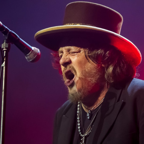 Zucchero, 19.12.2014, NOTP, Hamburg