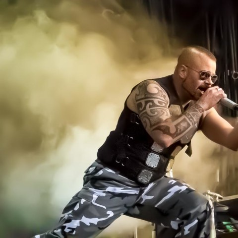 Sabaton, 01.08.2015, Wacken, Wacken Open Air 2015