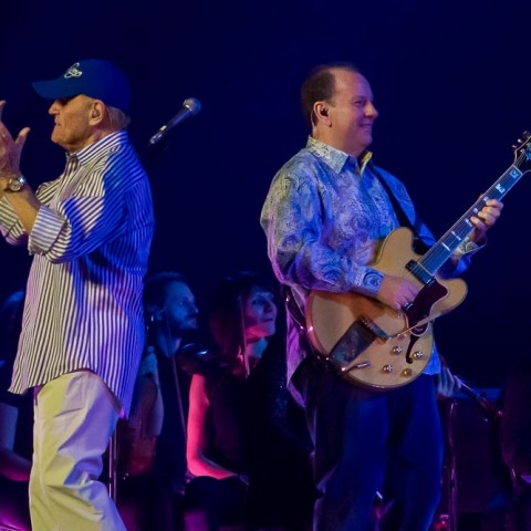 The Beach Boys, 04.12.2015, Hamburg,  NOTP 2015