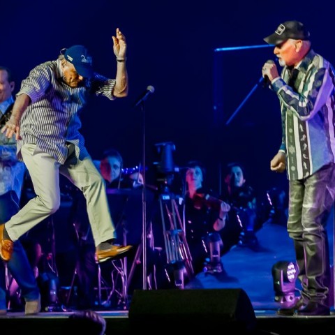 The Beach Boys, 04.12.2015, Hamburg,  NOTP 2015