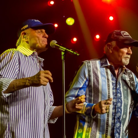 The Beach Boys, 04.12.2015, Hamburg,  NOTP 2015