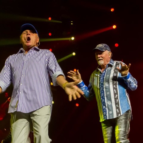 The Beach Boys, 04.12.2015, Hamburg,  NOTP 2015