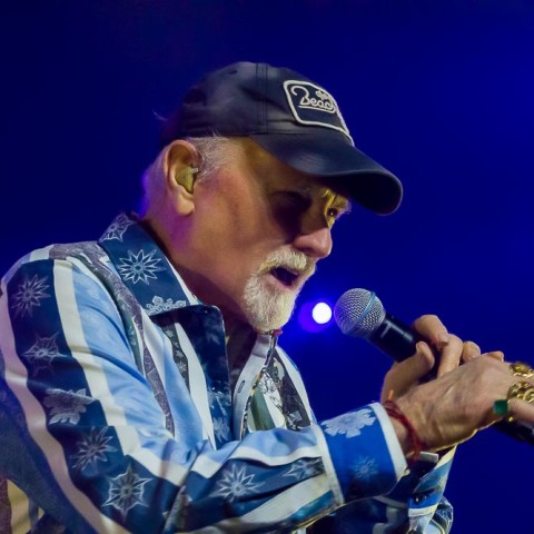 The Beach Boys, 04.12.2015, Hamburg,  NOTP 2015