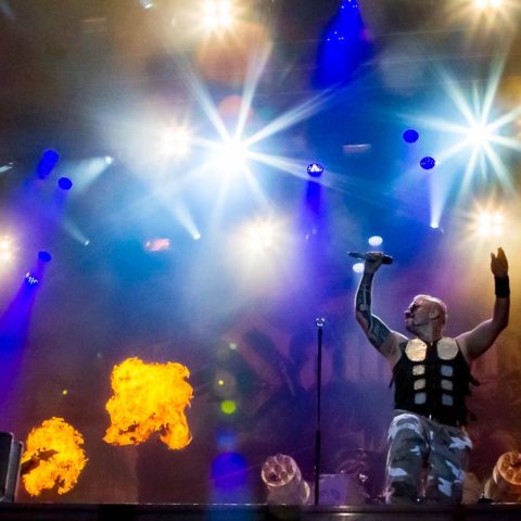 Sabaton, 19.08.2016, Hamburg, Elb-Riot 2016